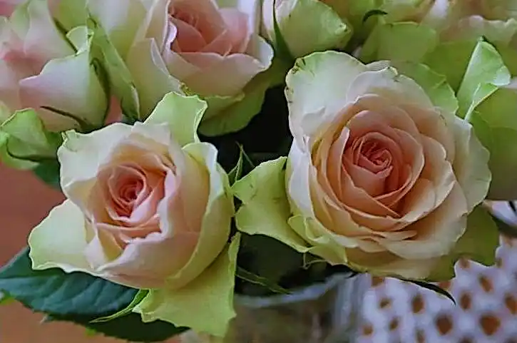 Sykaaa рабочее зеркало fb390e